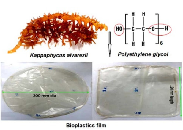 биопластиковая пленка